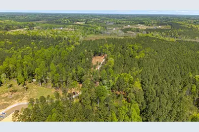 34.5 Acres Social Plain Road, Middlesex, NC 27557 - Photo 3
