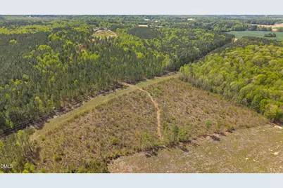34.5 Acres Social Plain Road, Middlesex, NC 27557 - Photo 5