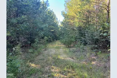 2220 New Sharon Church Road, Hillsborough, NC 27278 - Photo 11