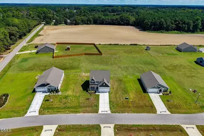 8937 Ava Drive, Bailey, NC 27807 - Photo 37