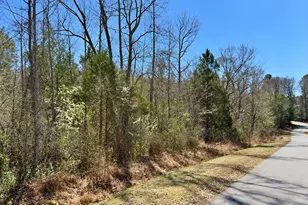 132 Bill Thomas Rd, Moncure, NC 27559 - Photo 1