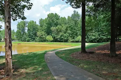 48 Danbury Court, Pittsboro, NC 27312 - Photo 27