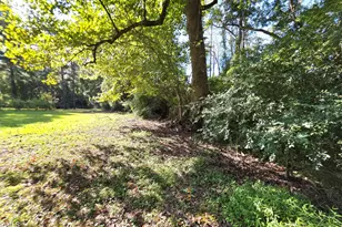 170 South River, Autryville, NC 28318 - Photo 49
