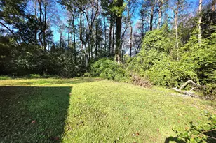 170 South River, Autryville, NC 28318 - Photo 47