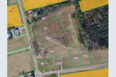 613 Braswell Road, Smithfield, NC 27577 - Photo 1