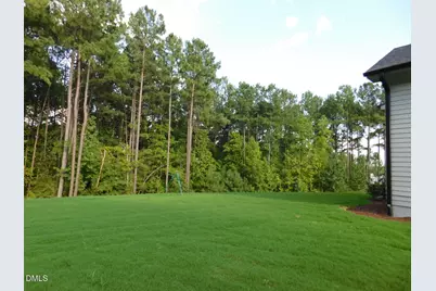 114 Autumn Gate Street, Pittsboro, NC 27312 - Photo 47