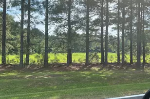 3381 Matthews Mill Pond Rd, Angier, NC 27501 - Photo 1