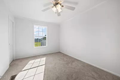 53 McNeill Mill Road, Broadway, NC 27505 - Photo 9