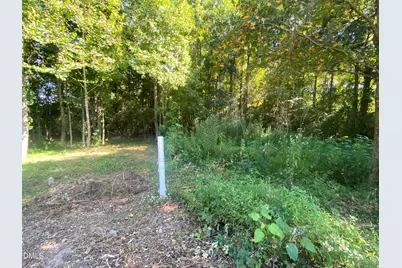 260 Sterling Way, Angier, NC 27501 - Photo 3
