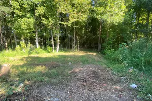 260 Sterling Way, Angier, NC 27501 - Photo 1