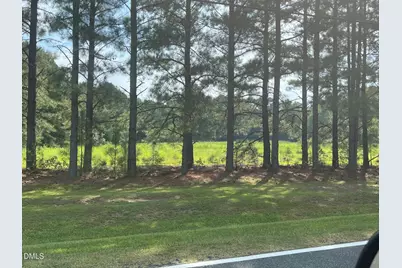 3405 Matthews Mill Pond, Angier, NC 27501 - Photo 1