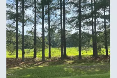 3405 Matthews Mill Pond, Angier, NC 27501 - Photo 3