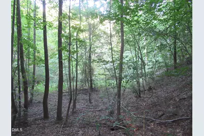 2643 Roberts Chapel Road, Goldston, NC 27252 - Photo 47