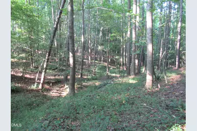 2643 Roberts Chapel Road, Goldston, NC 27252 - Photo 43