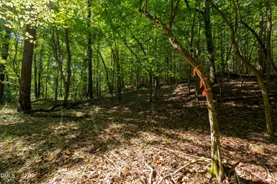2643 Roberts Chapel Road, Goldston, NC 27252 - Photo 7