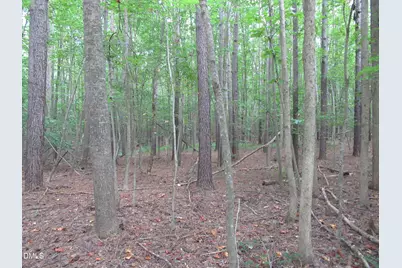 2643 Roberts Chapel Road, Goldston, NC 27252 - Photo 33