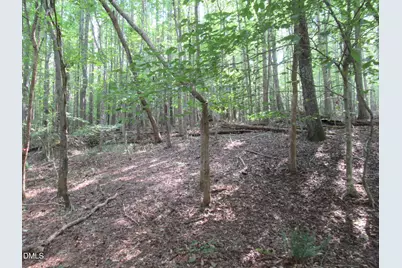 2643 Roberts Chapel Road, Goldston, NC 27252 - Photo 29