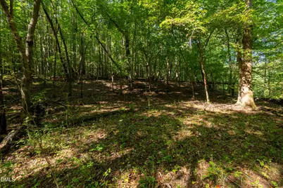 2643 Roberts Chapel Road, Goldston, NC 27252 - Photo 9