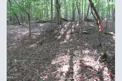 2643 Roberts Chapel Road, Goldston, NC 27252 - Photo 25