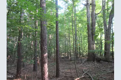 2643 Roberts Chapel Road, Goldston, NC 27252 - Photo 37