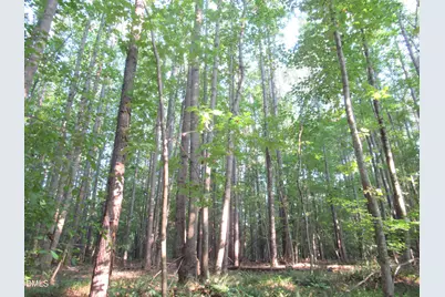 2643 Roberts Chapel Road, Goldston, NC 27252 - Photo 45