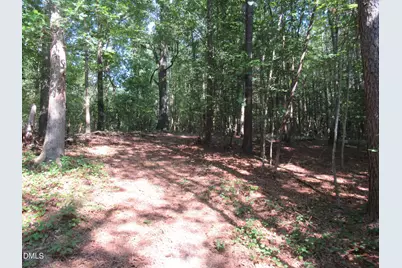 2643 Roberts Chapel Road, Goldston, NC 27252 - Photo 19