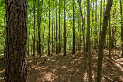 2643 Roberts Chapel Road, Goldston, NC 27252 - Photo 11