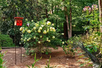 125 Summer Lakes Drive, Cary, NC 27513 - Photo 77