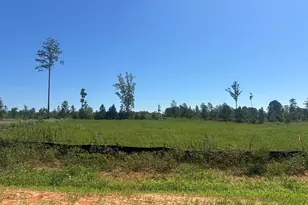 Lot 3 0 W Old Spring Hope Rd, Spring Hope, NC 27882 - Photo 1