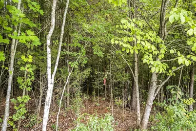 Lot 5 Green Mountain Road, Hillsborough, NC 27278 - Photo 13