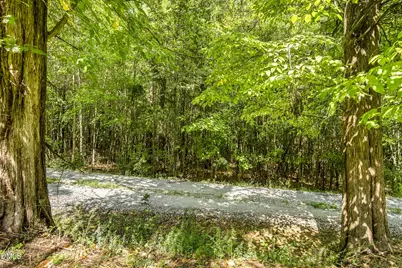 Lot 5 Green Mountain Road, Hillsborough, NC 27278 - Photo 11