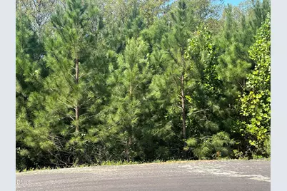 Lot 15 0 W Old Spring Hope Rd, Spring Hope, NC 27882 - Photo 1