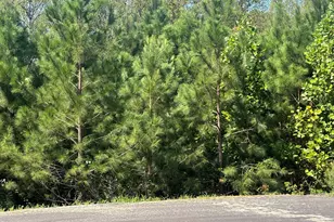 Lot 15 0 W Old Spring Hope Rd, Spring Hope, NC 27882 - Photo 1