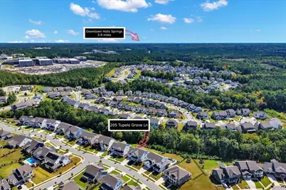 205 Tupelo Grove Lane, Holly Springs, NC 27540 - Photo 41