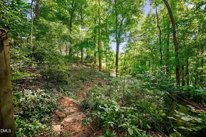 510 Monroe Street, Chapel Hill, NC 27516 - Photo 39