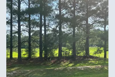 3449 Matthews Mill Pond Road, Angier, NC 27501 - Photo 5