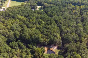 705 Thanksgiving Fire Rd, Selma, NC 27576 - Photo 39