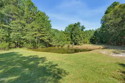 705 Thanksgiving Fire Road, Selma, NC 27576 - Photo 31
