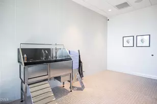 115 Morris St, Durham, NC 27701 - Photo 67