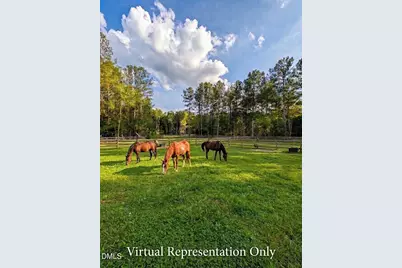 145 Talicud Trail, Apex, NC 27539 - Photo 5
