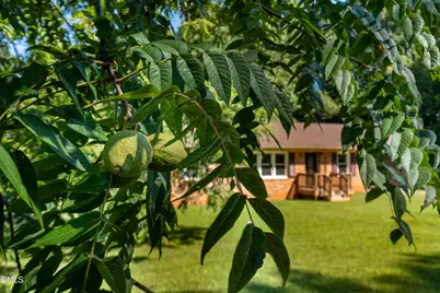 178 Crestview Road, Siler City, NC 27344 - Photo 11