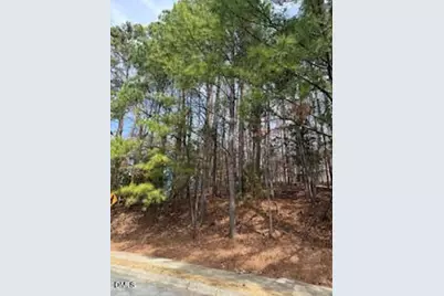 111 Bolinwood Drive, Chapel Hill, NC 27514 - Photo 3