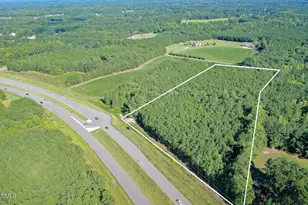 9 47 Acres US 401, Youngsville, NC 27596 - Photo 1