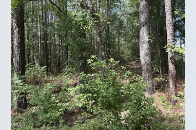 0 Carver School Road, Henderson, NC 27537 - Photo 5