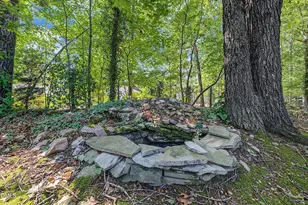 207 Hillstone Dr, Raleigh, NC 27615 - Photo 35