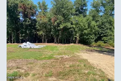5230 Roseheath Court, Bailey, NC 27807 - Photo 3