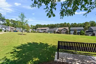 3391 Mission Olive Pl, New Hill, NC 27562 - Photo 41