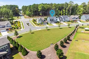 3391 Mission Olive Pl, New Hill, NC 27562 - Photo 1