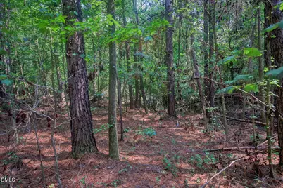 0000 Rumley Road, Graham, NC 27253 - Photo 3