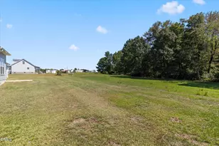 1390 Peach Farm Rd, Lillington, NC 27546 - Photo 35